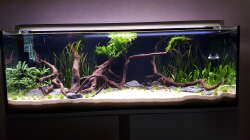 Mittagsstunde: Voll beleuchtet