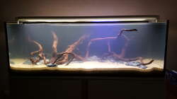 Mit etwas Mondlicht...