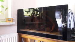 Aquarium Namenlos II