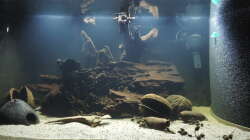 Aquarium Namenlos II