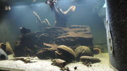 Aquarium Namenlos II