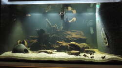 Aquarium Namenlos II