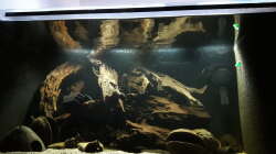 Aquarium Namenlos II