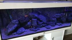 Aquarium Diagonalansicht