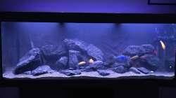 Aquarium Frontansicht