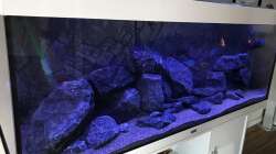 Aquarium Seitenansicht