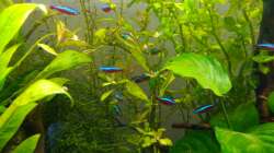 immer noch schüchtern :D