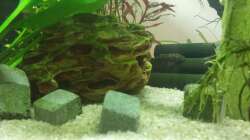 Selbst gemachte nanobricks