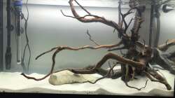 Hardscape im Aufenthaltsaquarium mit Wasser