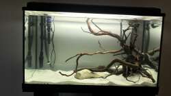 Hardscape im Aufenthaltsaquarium mit Wasser