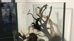 Hardscape im Aufenthaltsaquarium
