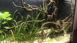 Seitenansicht Aufenthaltsaquarium