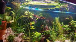 Aquarium 450 Liter