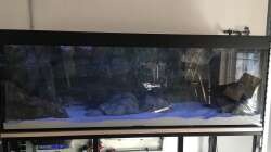 Technik im Aquarium Frontosa