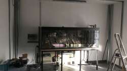 Technik im Aquarium Frontosa