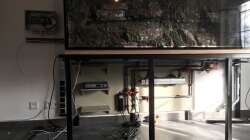 Technik im Aquarium Frontosa