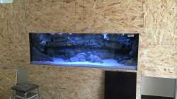 Technik im Aquarium Frontosa