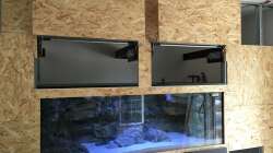 Technik im Aquarium Frontosa