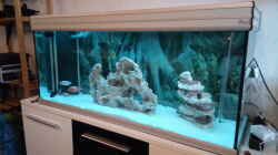 Aquarium Becken 34175