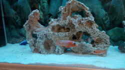 Aquarium Becken 34175