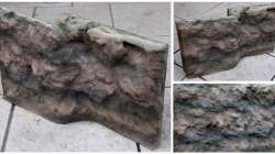 Farbgestaltung mit Acrylfarben u. Airbrush