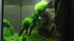 Aquarium Kinderzimmerbecken