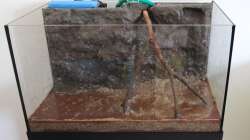 Einbringen des Bodens und der Eichenäste