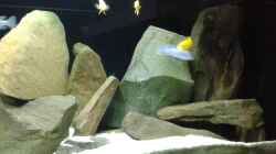 Dekoration im Aquarium Becken 34204