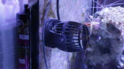 Technik im Aquarium Meerwasseraquarium