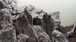 Dekoration im Aquarium JBL Setup 2017