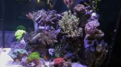 Aquarium 80L Nano Riff