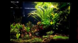 Frontansicht Dezember -17