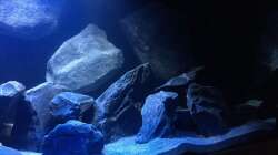 Detailansicht -rechts 02-