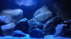 Detailansicht -mittig 02-