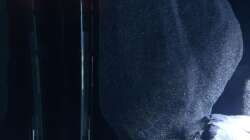 Eheim Thermocontrol 250 Watt + Installationsset 1 (hinter dem Modul versteckt)