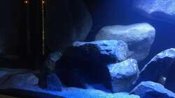 Detailansicht -links 02-