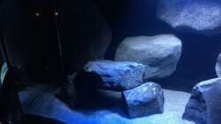 Detailansicht -links 01-