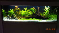 Aquarium Mystic River