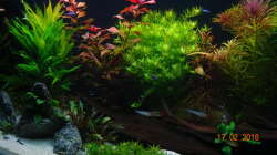 Aquarium Mystic River