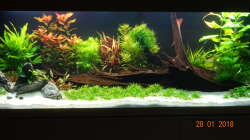 Aquarium Mystic River