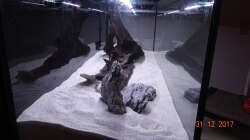 Dekoration im Aquarium Mystic River