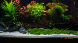 Aquarium Mystic River