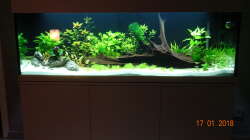 Tag 10 - es tut sich was!