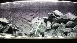 230kg Bruchstein platziert.