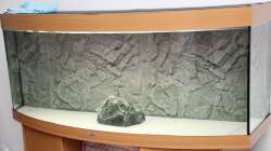 Rückwand und Bodenplatte wässern