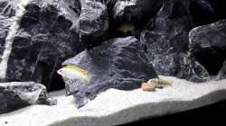 Höhlen, Tunnel und Sichtsperren