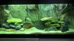 zwei weiter Steine reingelegt