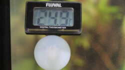 Die Temperatur Anzeige