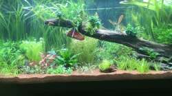 Neueinrichtung vorne