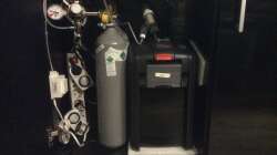 Technik im Aquarium Grünes Paradies